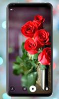 Rose Mobile Wallpapers screenshot 1