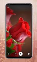 Rose Mobile Wallpapers screenshot 3