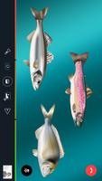 Skretting FISHcare Ekran Görüntüsü 1