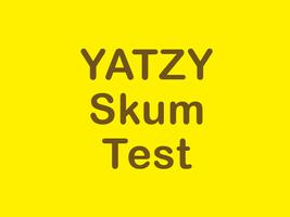Skumbanan Yatzy Test capture d'écran 2