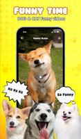 Pet Translator - Cat and Dog পোস্টার