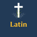 Latin Bible APK