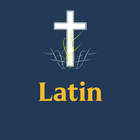 Latin Bible icône