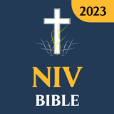 NIV-New International Version icône