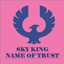 skyking game-online matka play APK
