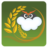 SkyGreen icône