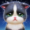 ”Kitten Match