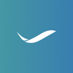 Skyna icon