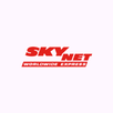 SkynetNG APK