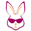 Promo Admin APK
