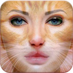 Animal Face Photo Editor