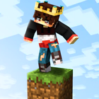 Mapas One Block para Minecraft icono