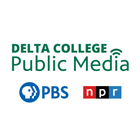 Delta أيقونة