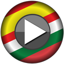 Es-Bg Offline Voice Translator APK