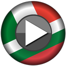 It-Bg Offline Translator APK