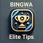 Bingwa Elite Tips ícone