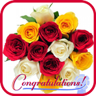 Congratulation Gif أيقونة