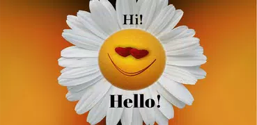 Hi Hello Gif