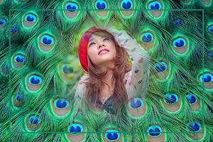 Peacock Feathers Photo Frames screenshot 3