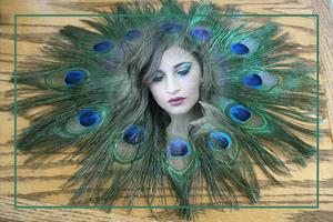 Peacock Feathers Photo Frames screenshot 2