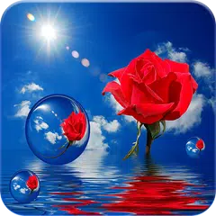 Rose GIF APK download