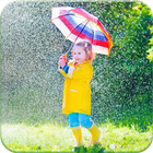 Chuva foto quadro ícone