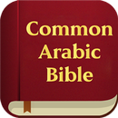 Common Arabic translation APK