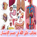 عجائب خَلق الله في جسم الانسان APK