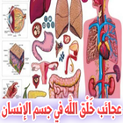 عجائب خَلق الله في جسم الانسان أيقونة