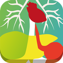 II Jornadas Multidisciplinares APK