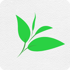 Tea Diary icon