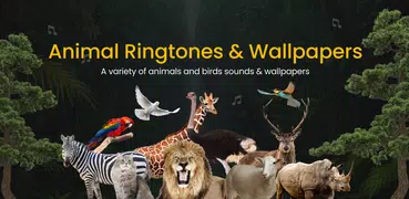 Animal Ringtone: AI Wallpapers