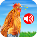Animals and Birds Ring Tones