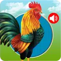 Animals Ringtones