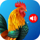 Tierklingeltöne APK