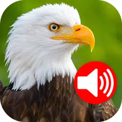 download Suonerie Animali e Uccelli APK