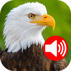 Dieren en vogels Ringtones-icoon