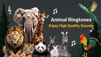 Animal Ringtones poster