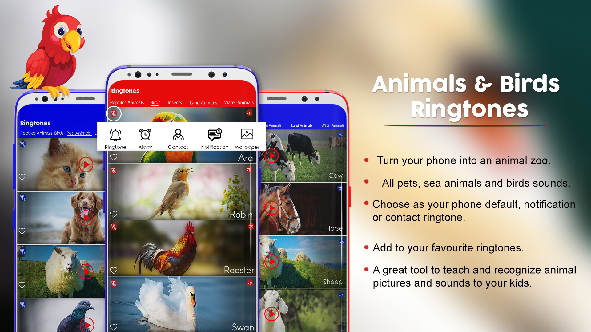 Animals & Birds Ringtones APK  for Android – Download Animals & Birds  Ringtones APK Latest Version from 