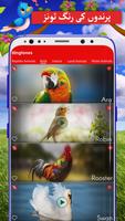 جانوروں اور پرندوں کے رنگ ٹون اسکرین شاٹ 1