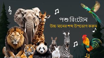 পশুদের রিংটোন পাখি শব্দ পোস্টার