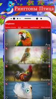 Животные и птицы Ringtones скриншот 1