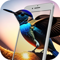 3D Canlı Duvar Kağıtları