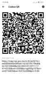 2 Schermata Scanner QR e codici a barre