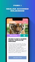 Share Festival screenshot 1
