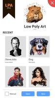 Low Poly Art (Pro) Affiche