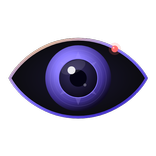 ViewCam: Your phone, your cam