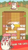Slide The Cat 海報