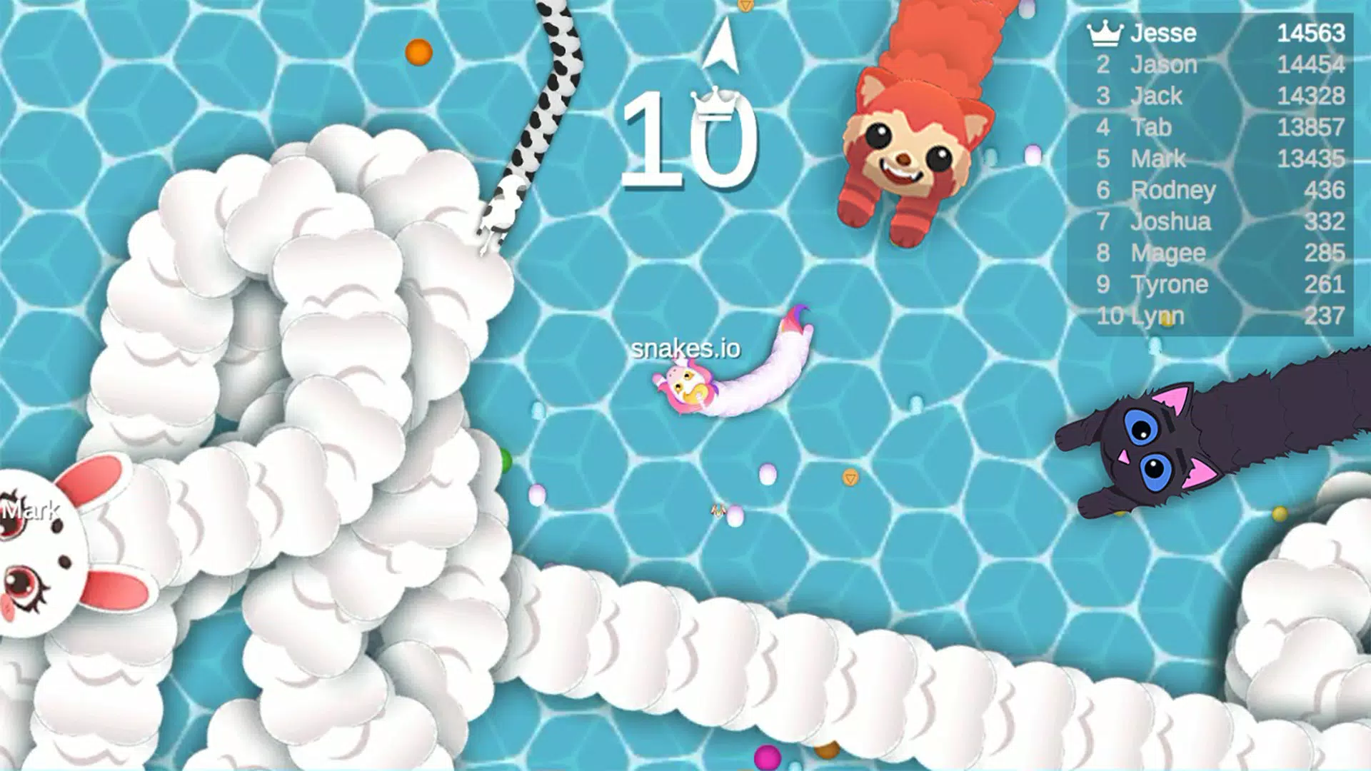 Download Snack Snake.io-Slither Game APK v1.0.24 For Android