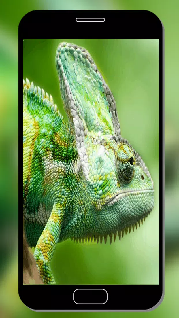 Descarga de APK de Camaleon Fondo De Pantalla para Android Descarga de APK de Camaleon Fondo De Pantalla para Android